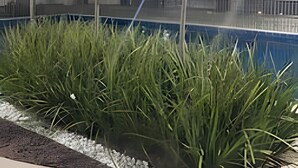 Ein Schwimmbad mit umgebender Bepflanzung und einem modernen Gebäudebau im Hintergrund.