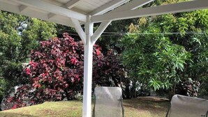 A covered patio area with a table and two chairs, surrounded by lush greenery and a variety of plants.