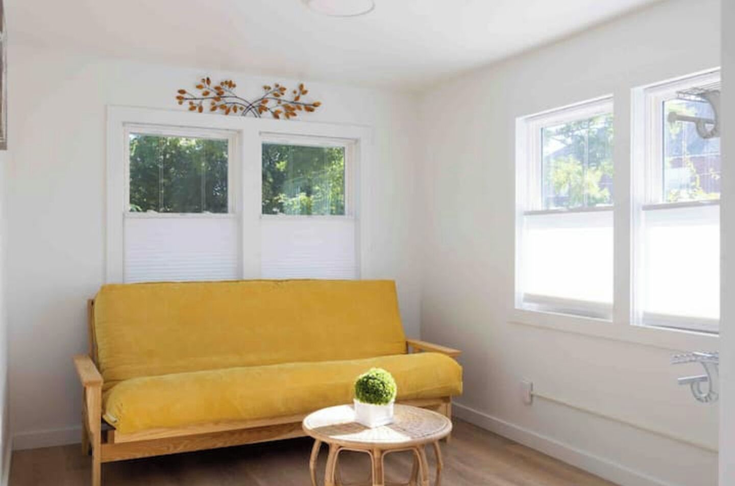 Manhattan Modern: Large 3 Bed, Fenced Yard-parking - Burlington, VT