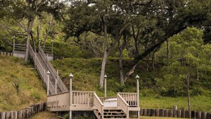 A wooden staircase leading up to a platform with railings and lamp posts, surrounded by greenery and trees.