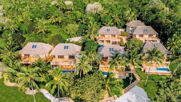 Un resort con varias villas de techo de paja rodeadas de exuberante vegetación y palmeras.