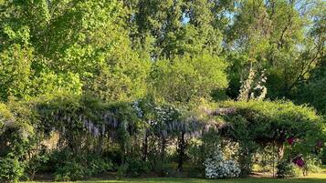 A lush garden with dense foliage, a variety of flowering plants, and a clear sky.