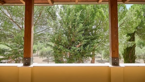 A wooden pergola structure with a view of a coniferous tree and other greenery. - Sottoassisi Guest House (Assisi)