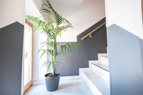 Escaleras con baranda