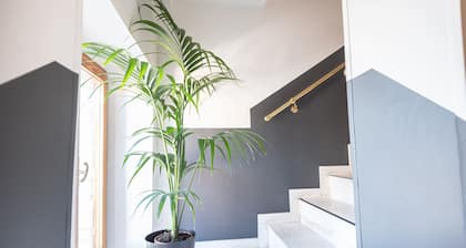 Sottoassisi Guest House