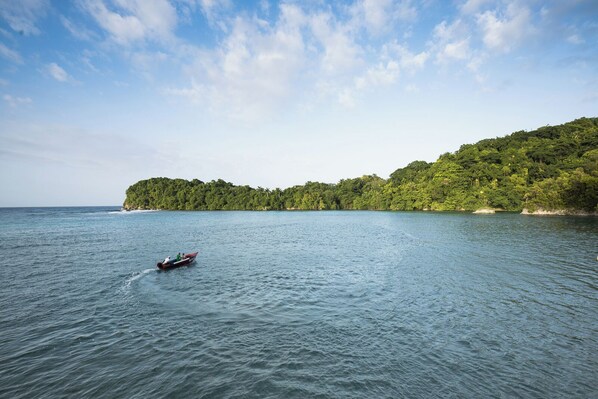 Miscelánea