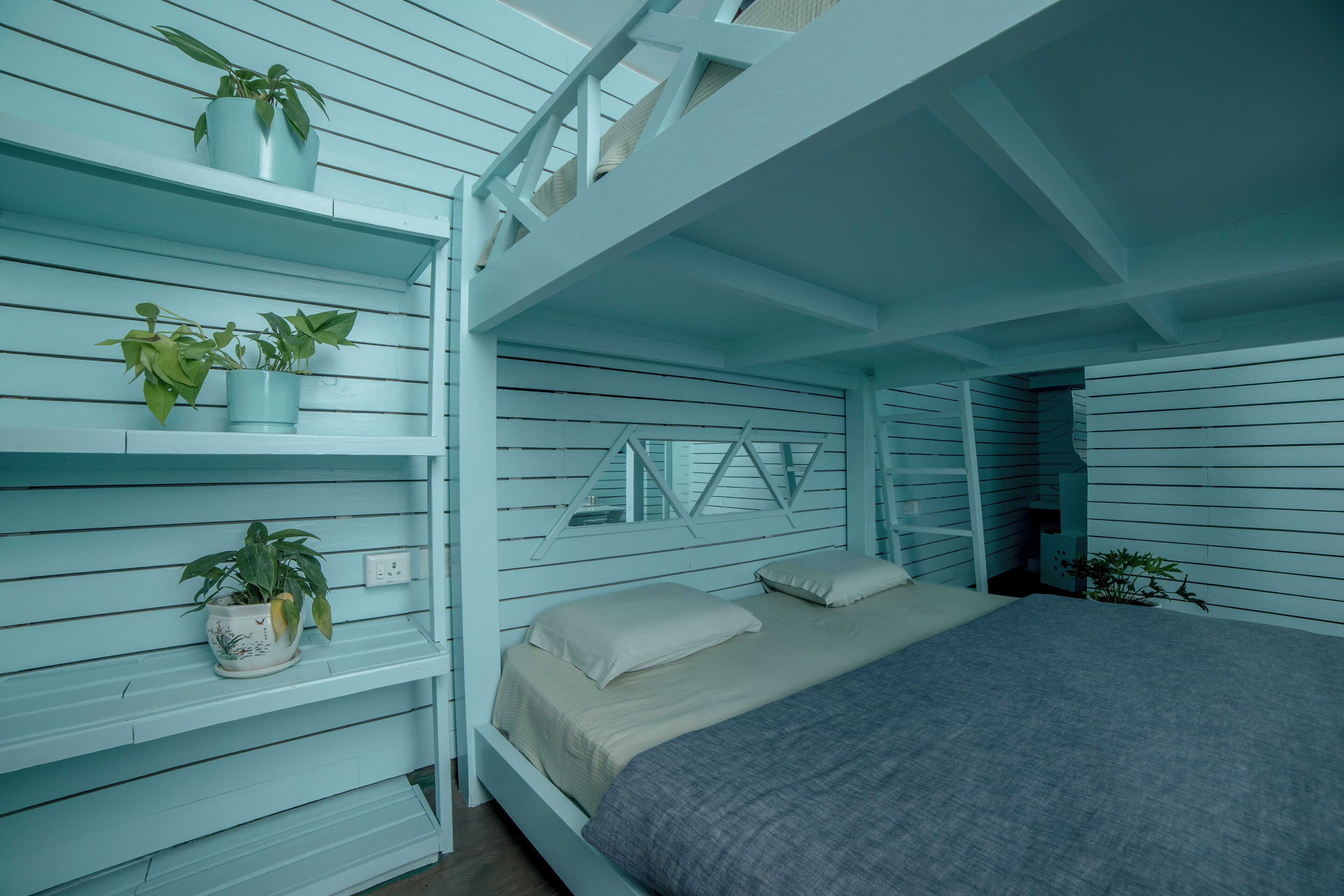 Une chambre avec un lit superposé, un petit bureau et deux plantes en pot disposées sur des étagères.