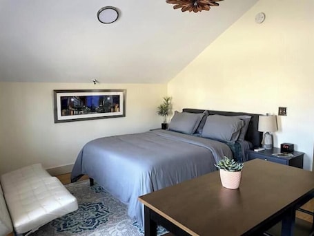 Iron/ironing board, WiFi, bed sheets. New Modern Studio- Hop Skip & Jump to Waterfront