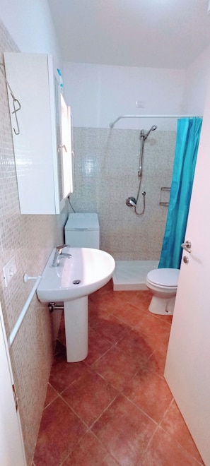 Hair dryer, bidet, towels, toilet paper
