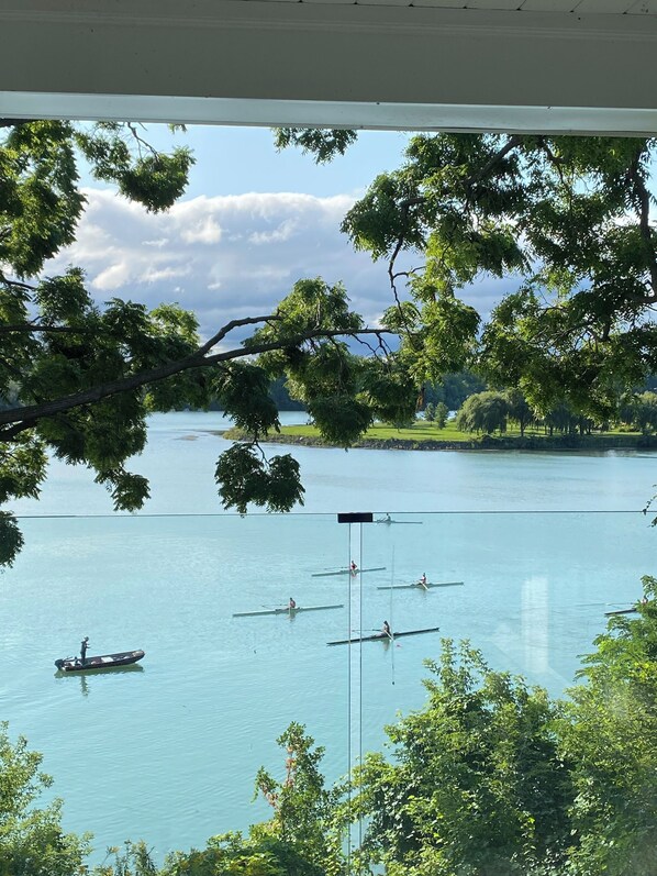 Un lago tranquilo con botes a remo, rodeado de exuberante vegetación y árboles.