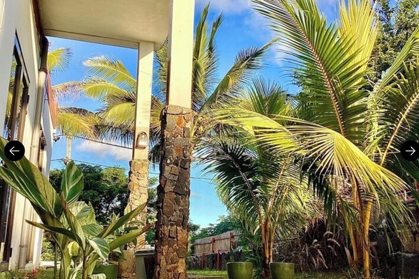Yard view
