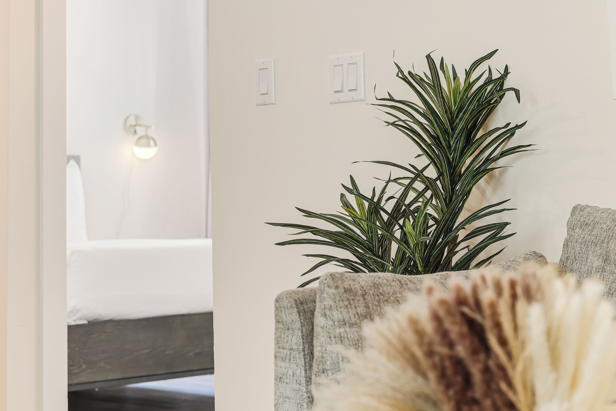 Un intérieur moderne agrémenté d’une plante en pot, d’un mur à texture et d’un interrupteur.