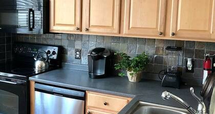 Cozy two bedroom Condo in Downtown Hartford