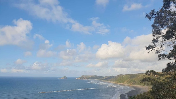 A coastal landscape with a rocky shoreline, a clear sky, and distant hills. - LAS MIMOSAS DEL NALON (Soto Del Barco)