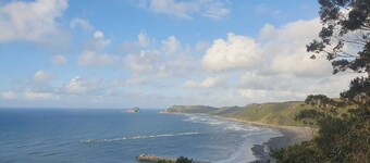 LAS MIMOSAS DEL NALON