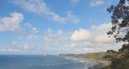 LAS MIMOSAS DEL NALON