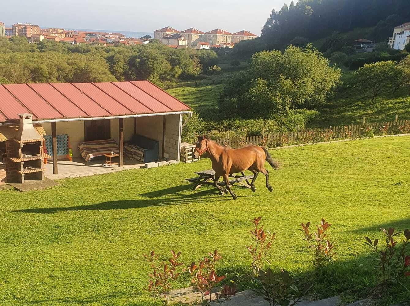 A stable with a red roof and a horse running on a grassy field.
