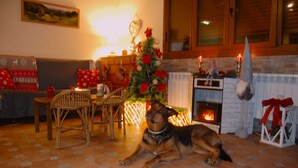 A cozy living room with a dog lying on the floor, a fireplace, a Christmas tree, and a sofa with festive pillows. - LAS MIMOSAS DEL NALON (Soto Del Barco)
