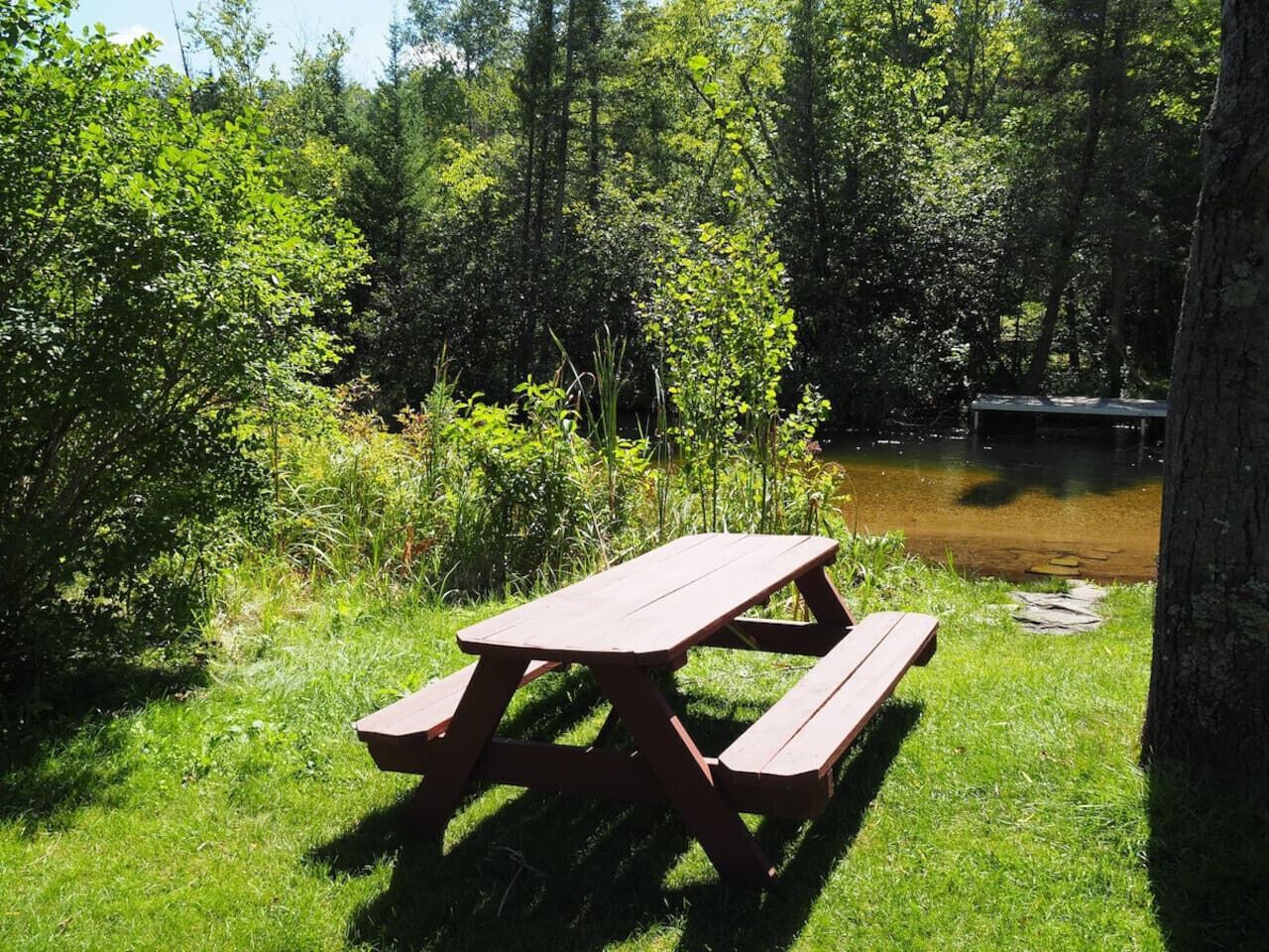 Una mesa de picnic en un área boscosa cerca de un cuerpo de agua.