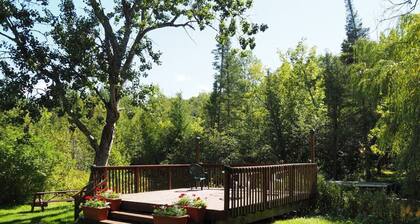 Sleeping Bear Riverside Cabins - Cabin #3