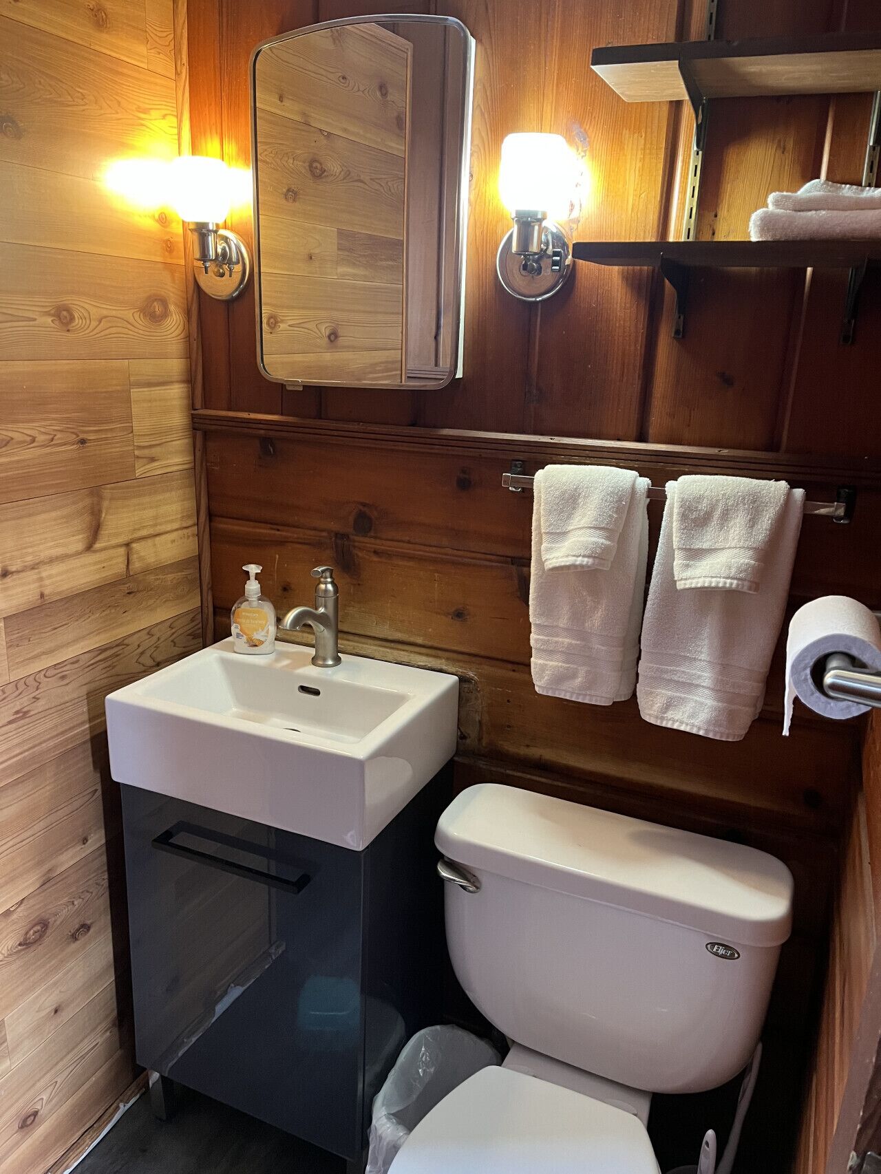A compact bathroom with a wooden wall, a white sink with a soap dispenser, a toilet, and two wall-mounted lights.