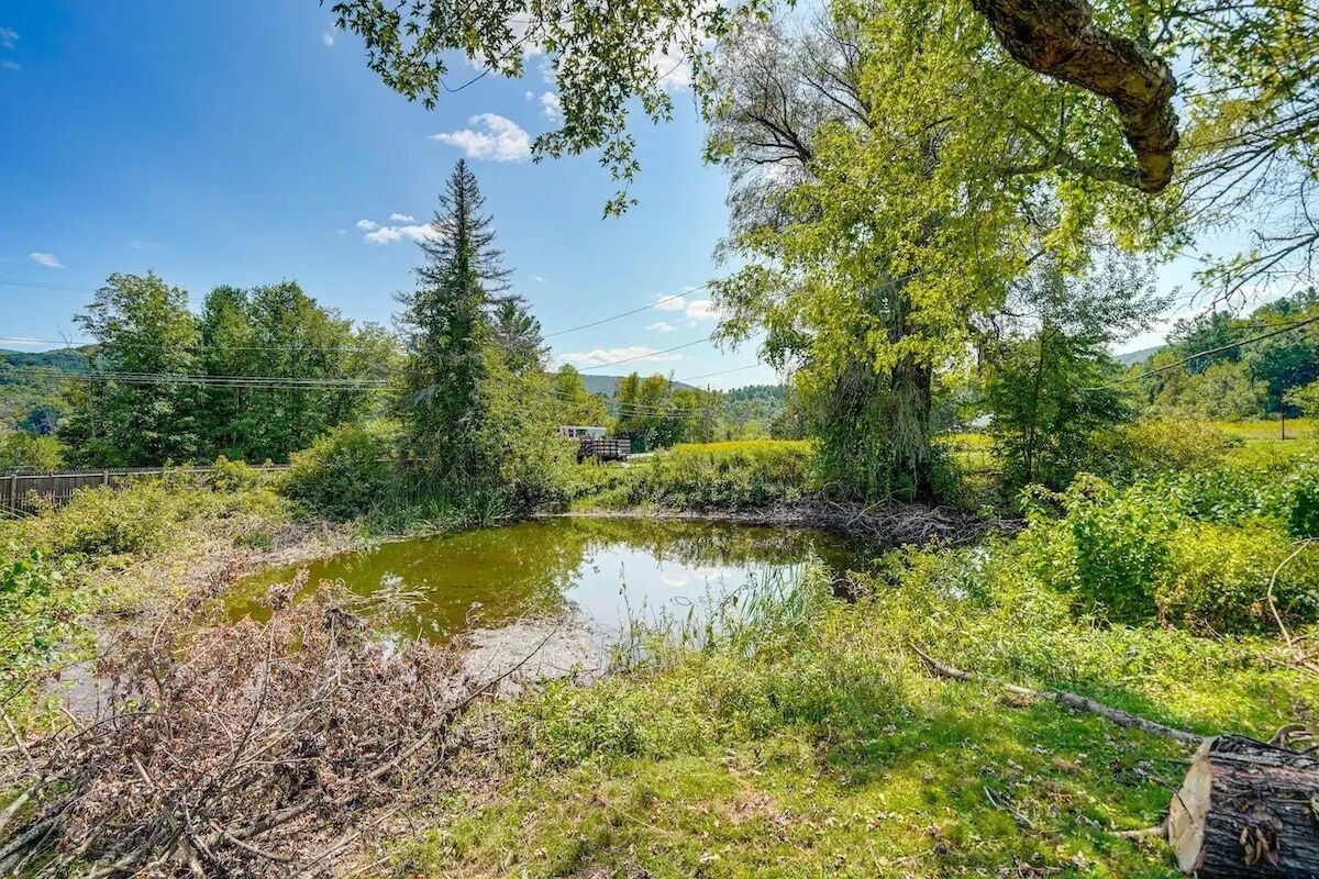 Un paysage naturel avec un étang, des arbres et un bâtiment en arrière-plan.