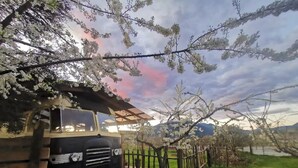 星評価なしの画像、3 / 26、ボタン