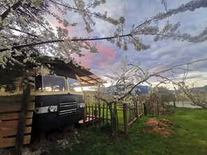 Property grounds - Riverside Bedford Bus with stunning valley views. (Murchison)