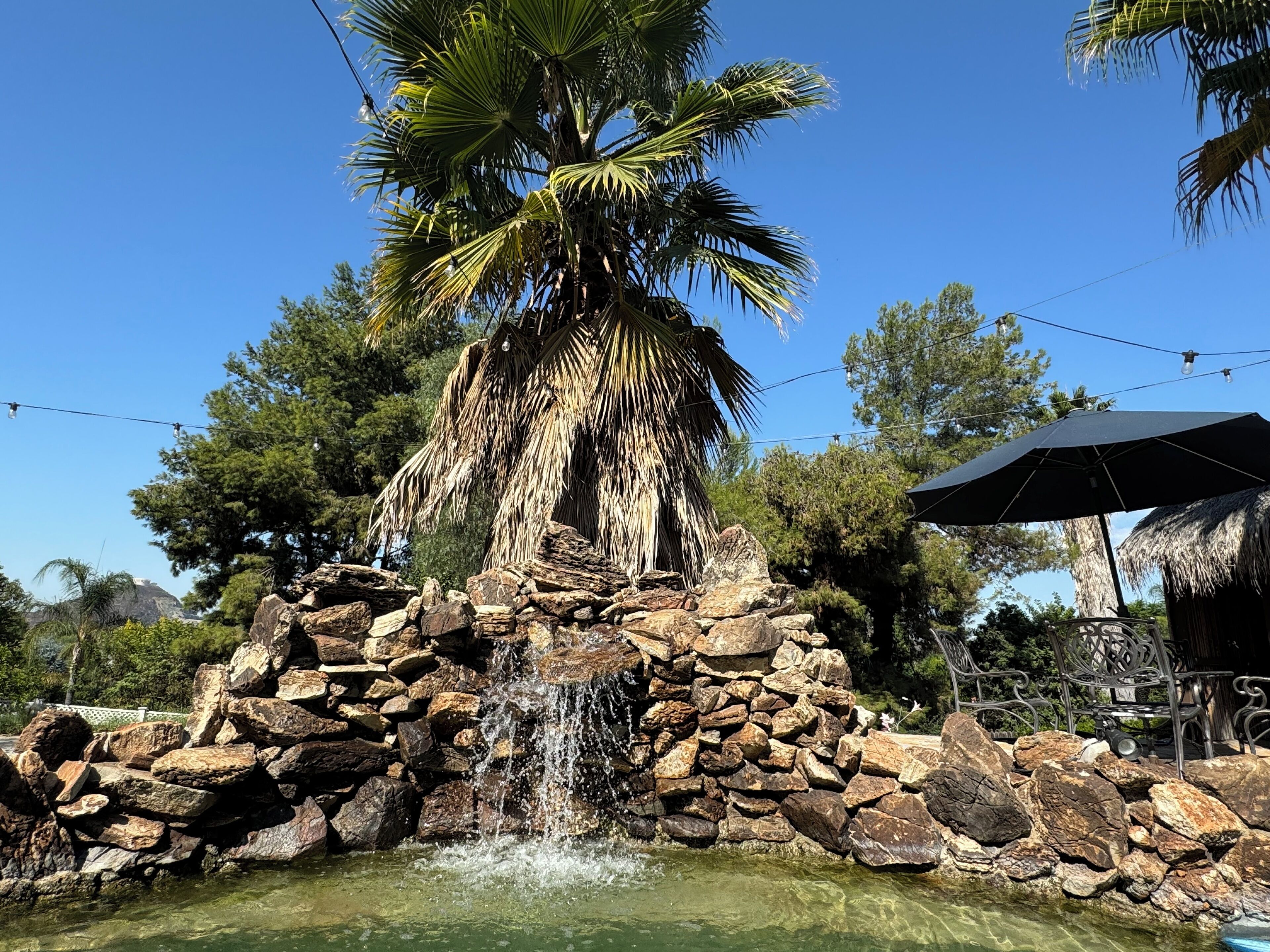 Terrein van de accommodatie