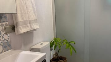 Dusche, Regendusche, Haartrockner, Hausschuhe