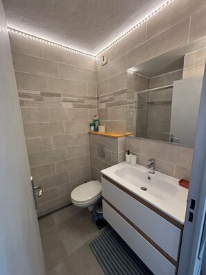 Ducha, secador de pelo, toallas, papel higiénico