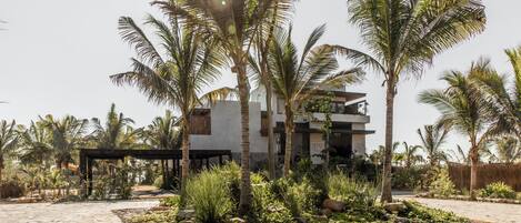 A modern building with a flat roof, surrounded by palm trees and a paved area with rocks and plants.