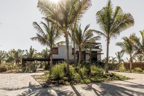 A modern building with a flat roof, surrounded by palm trees and a paved area with rocks and plants. - MUSA Hotel (Loma Bonita)