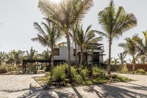 Un edificio moderno con techo plano, rodeado de palmeras y un área pavimentada con rocas y plantas.