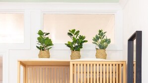 Una estantería de madera con tres estantes, cada uno con una toalla enrollada y una pequeña planta en maceta.
