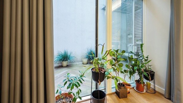 A balcony with potted plants and a sliding glass door.