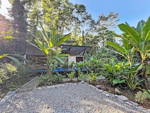 Property grounds - Butterfly Buddha Bungalow in the Playa Negra Jungle (Puerto Viejo de Talamanca)