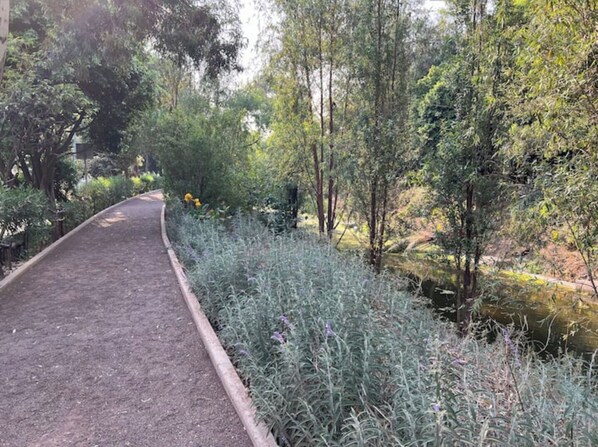 Stroll through the serene garden, surrounded by lush greenery and a tranquil water feature.