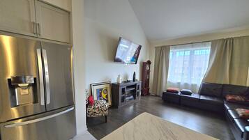 Smart TV, fireplace, books