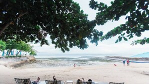 A beach with metal chairs and tables under a large tree, overlooking the sea. - The Pearl of Mactan (Lapu-Lapu City)