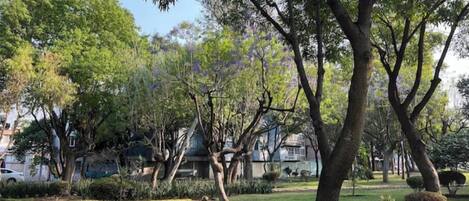 Enceinte de l’hébergement