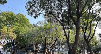 Casa Mexico Coyoacan Churubusco