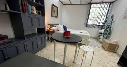 Our Best One Bedroom Studio Campestre Coyoacan MX