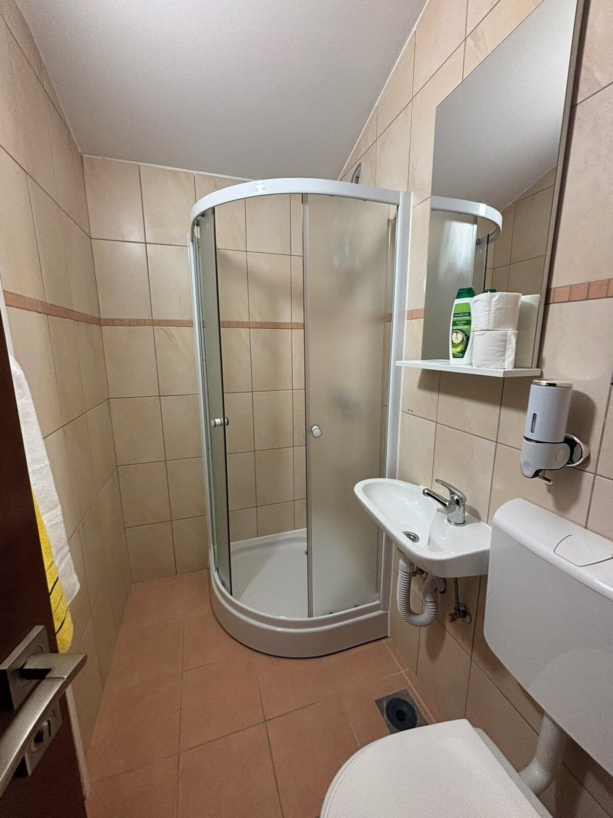 Een badkamer met een glazen douchecabine, een wastafel, een toilet en een spiegel.