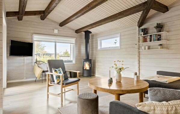 Televisión y chimenea 