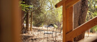 Charming Foothills Getaway – Near Yosemite & Gold Country