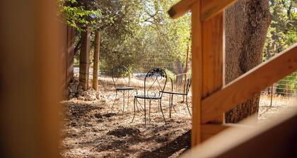 Charming Foothills Getaway – Near Yosemite & Gold Country