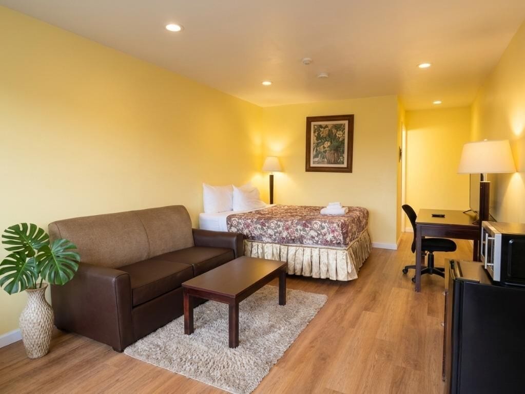 Standard Single Room | Desk, free WiFi