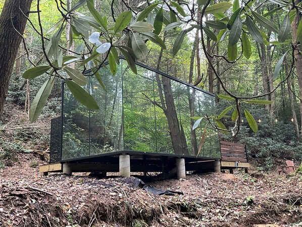 A hammock suspended between trees in a forested area with a bench and a wooden platform.