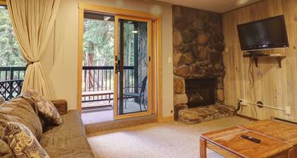 Huge Ski In/Ski Out Condo. CM116